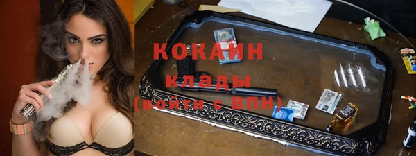 стаф Арсеньев