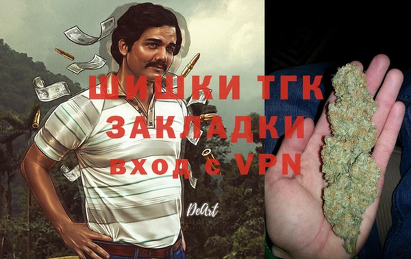 стаф Арсеньев