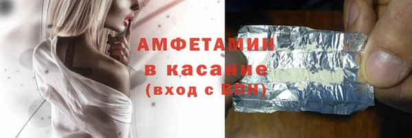 стаф Аркадак