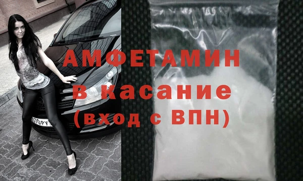 стаф Аркадак