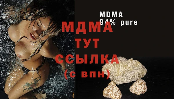 стаф Аркадак