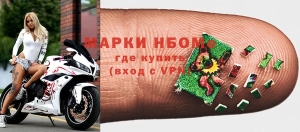 стаф Аркадак