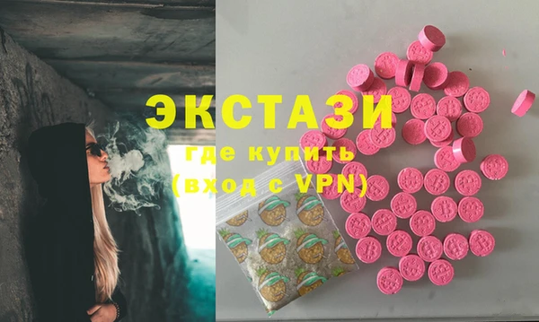 стаф Арсеньев
