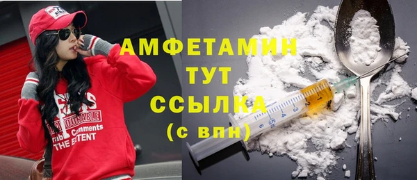стаф Арсеньев