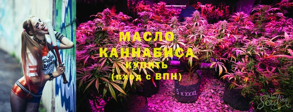 стаф Арсеньев